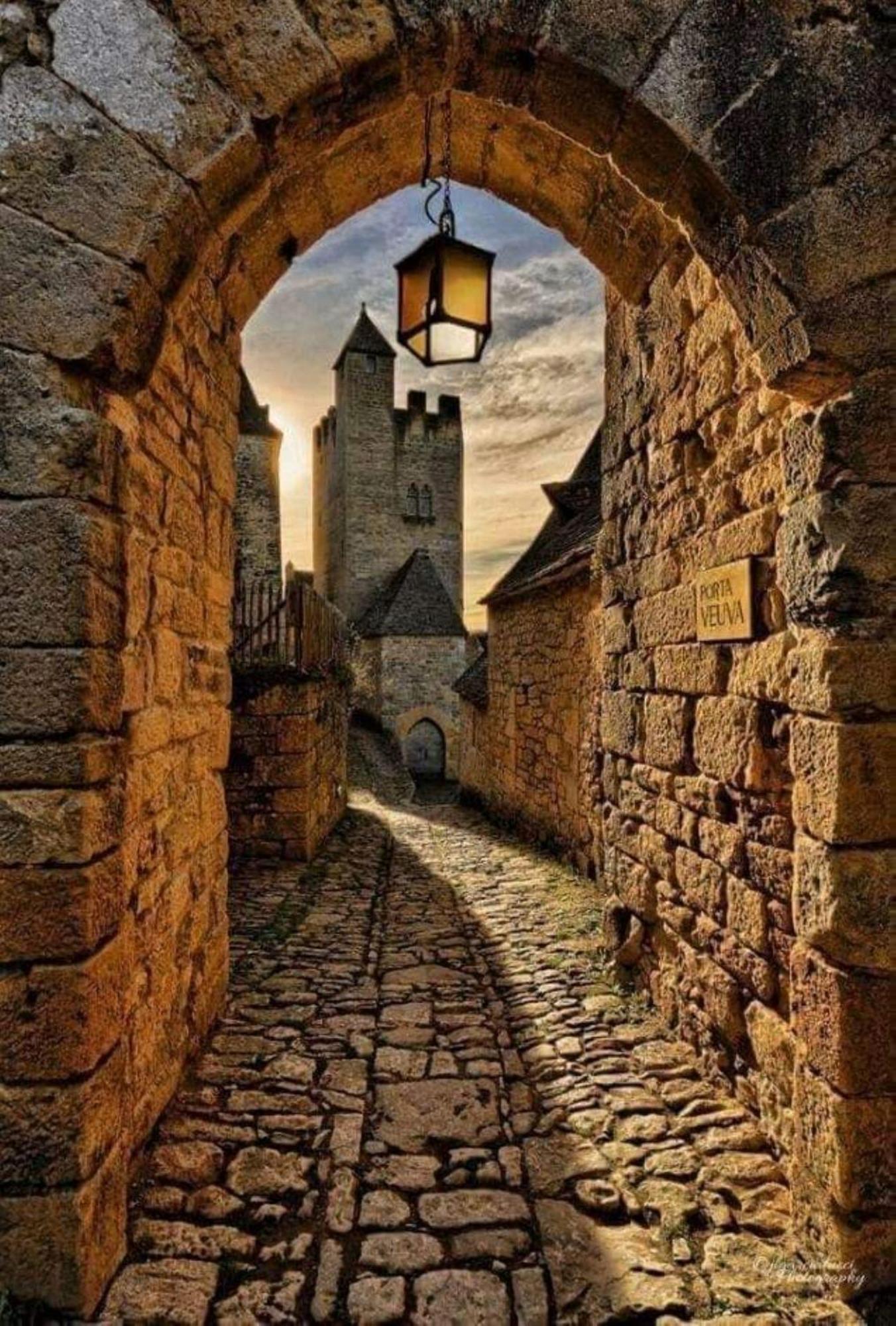Maison En Perigord Proche Beynac Et Sarlat Cénac-et-Saint-Julien Eksteriør billede